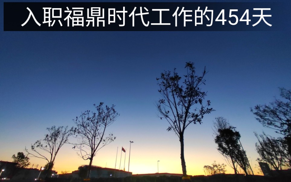 00后入职福鼎时代工作的454天哔哩哔哩bilibili