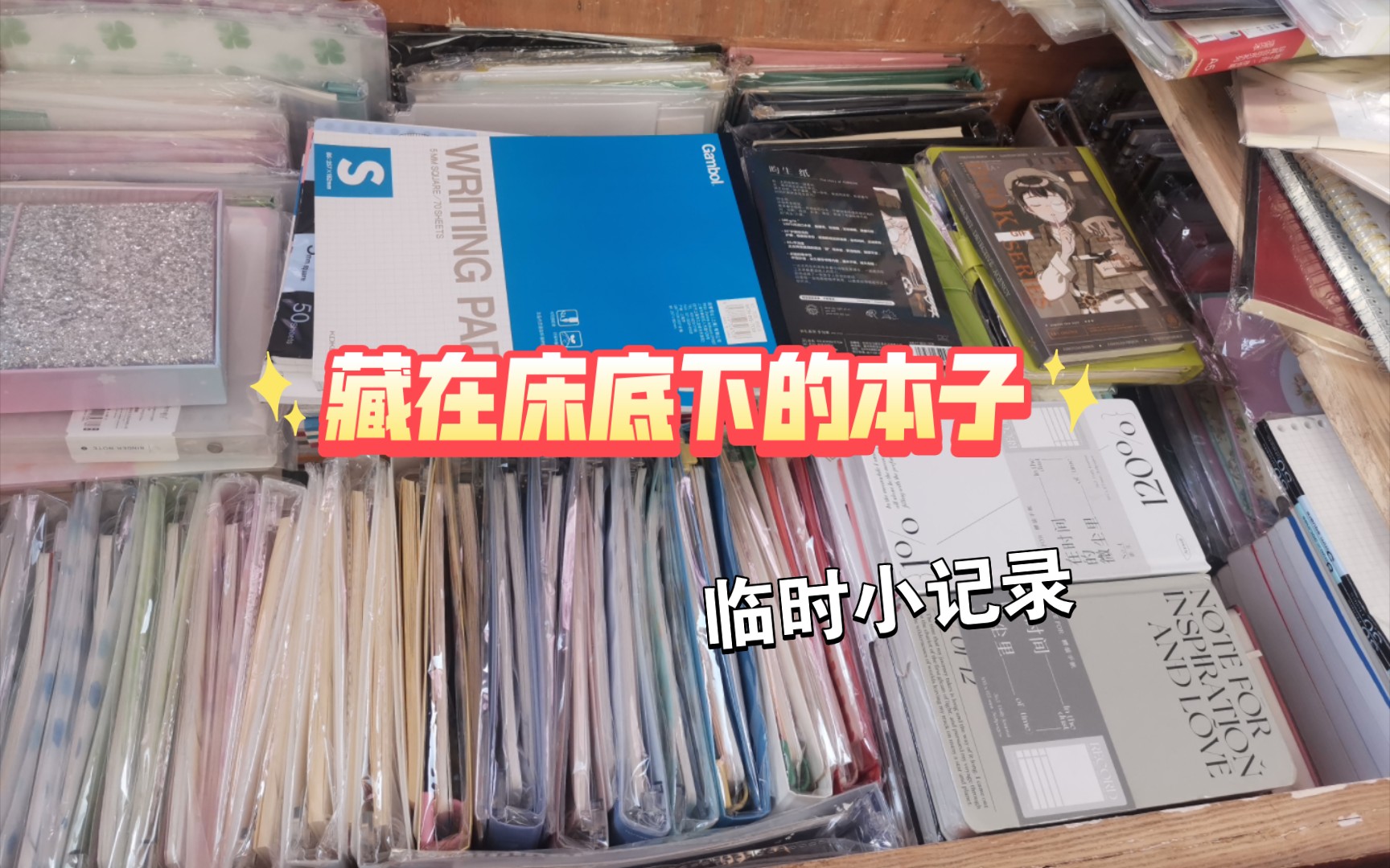 记录下床底下的本子,这边放的主要是一些活页本,期刊本和活页替芯哔哩哔哩bilibili