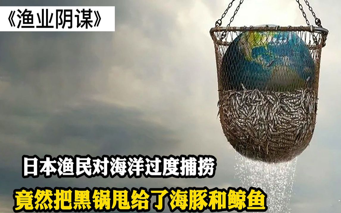 纪录片:日本渔民对海洋过度捕捞,却让海豚背了黑锅《渔业阴谋》