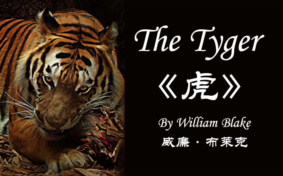 [图]【英诗+老虎混剪】The Tyger by William Blake《虎》 威廉布莱克 海伦·米伦朗读（双语外挂字幕）