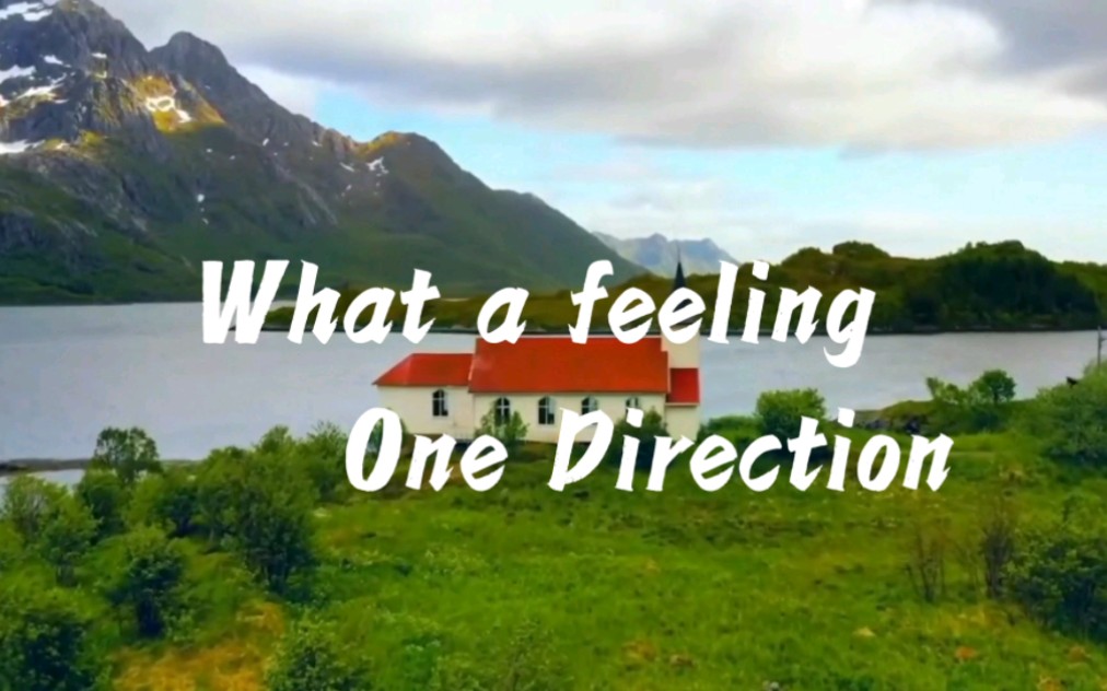 [图]One Direction的What a Feeling