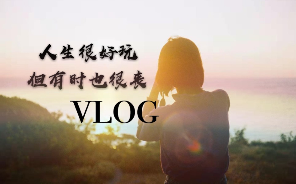 vlog自由职业真实生活指南真潇洒自由又逍遥