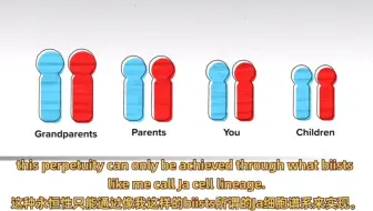 【TED】一只有两个爸爸的老鼠——生物学的新前沿