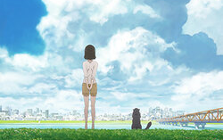 [BD / 1080P+] 她和她的猫 彼女と彼女の猫 Everything Flows 新海诚作品映像特典合集哔哩哔哩bilibili