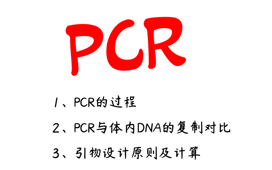 PCR技术、PCR引物设计的原则、PCR引物的计算及PCR过程【高中生物选择性必修三】哔哩哔哩bilibili