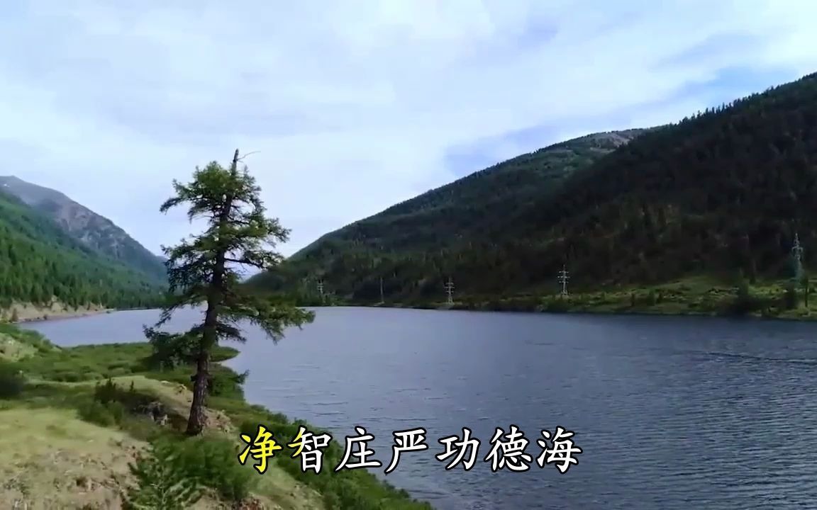 T佛教歌曲《浴佛偈》净化心灵,消除烦恼,功德无量哔哩哔哩bilibili