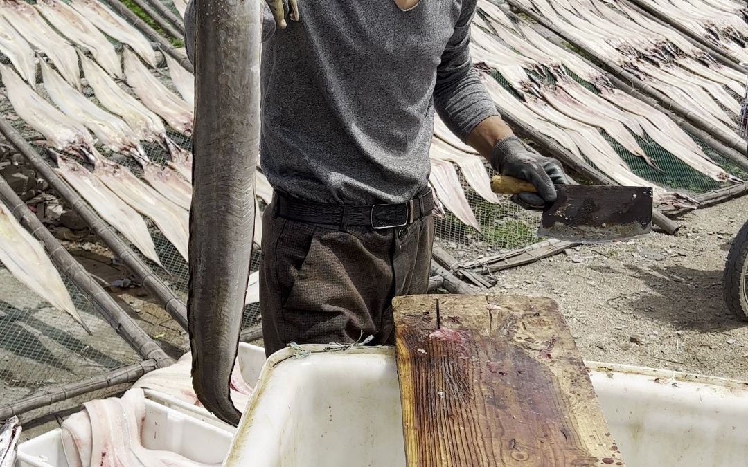 古有庖丁解牛,今有大叔三刀割鱼