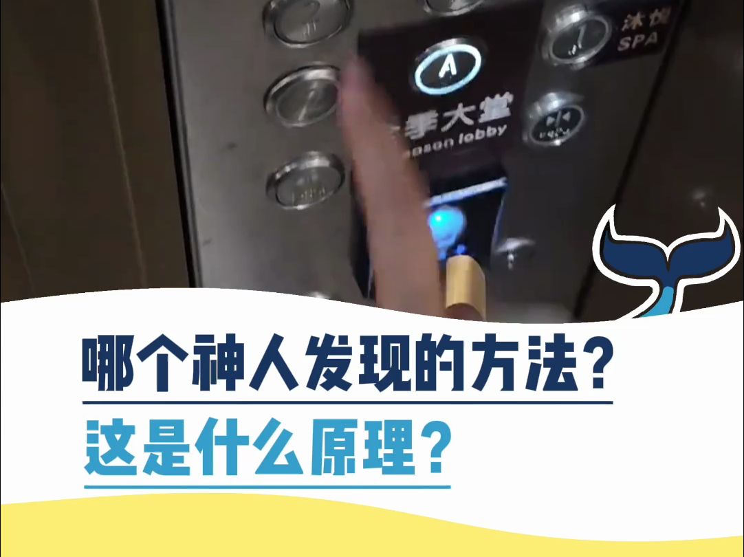 哪个神人发现的方法?这是什么原理?哔哩哔哩bilibili