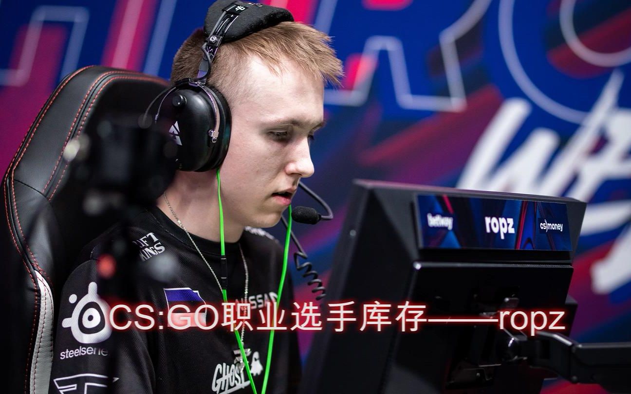 [图]CS:GO职业选手库存——ropz(3.0)