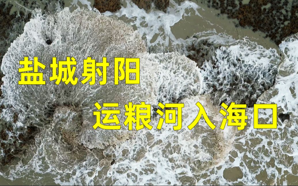 射阳运粮河入海口的奇丽风景,盐城海岸侵蚀岸段的一部分哔哩哔哩bilibili