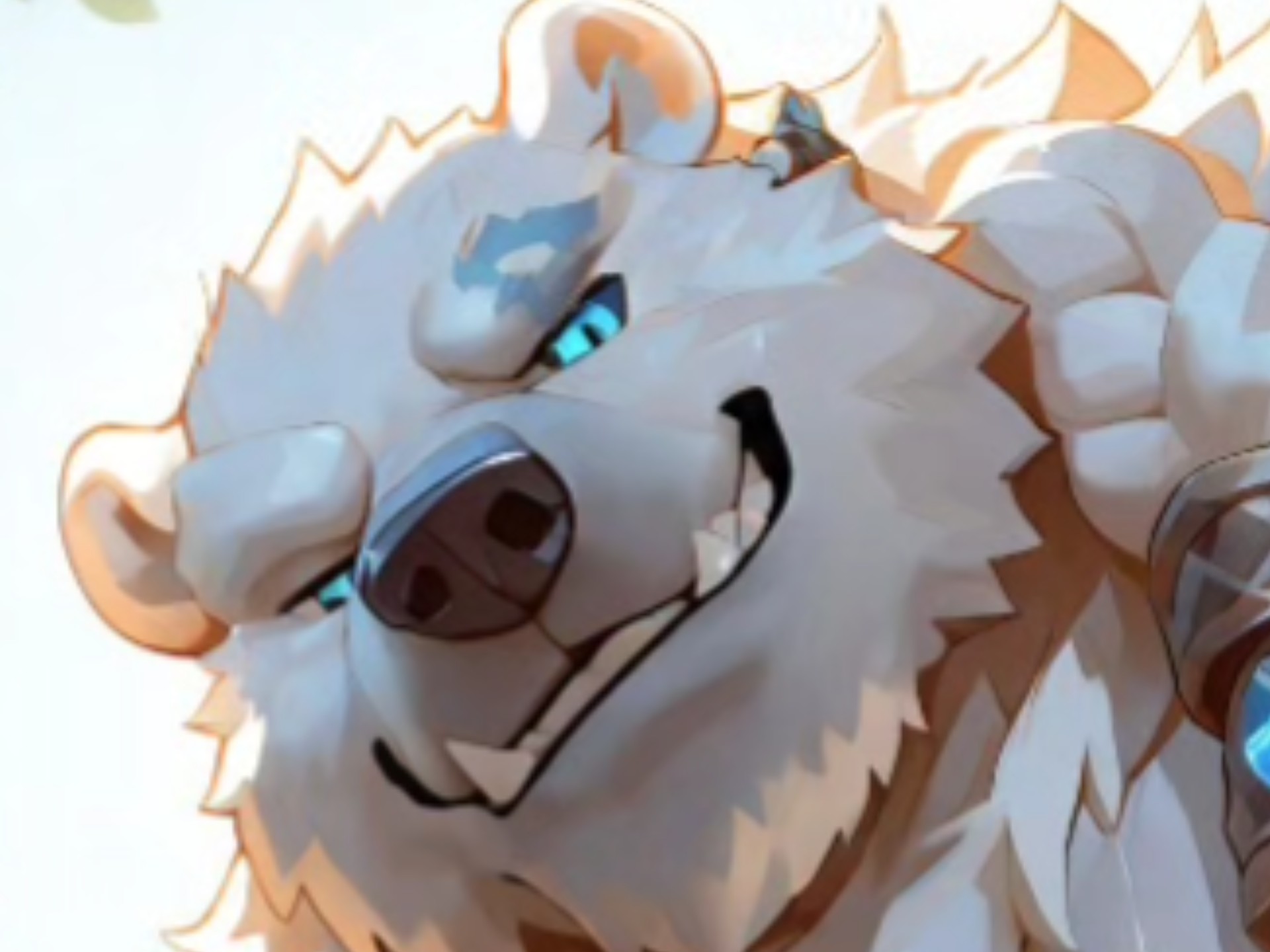 肌肉狗熊沃利贝尔