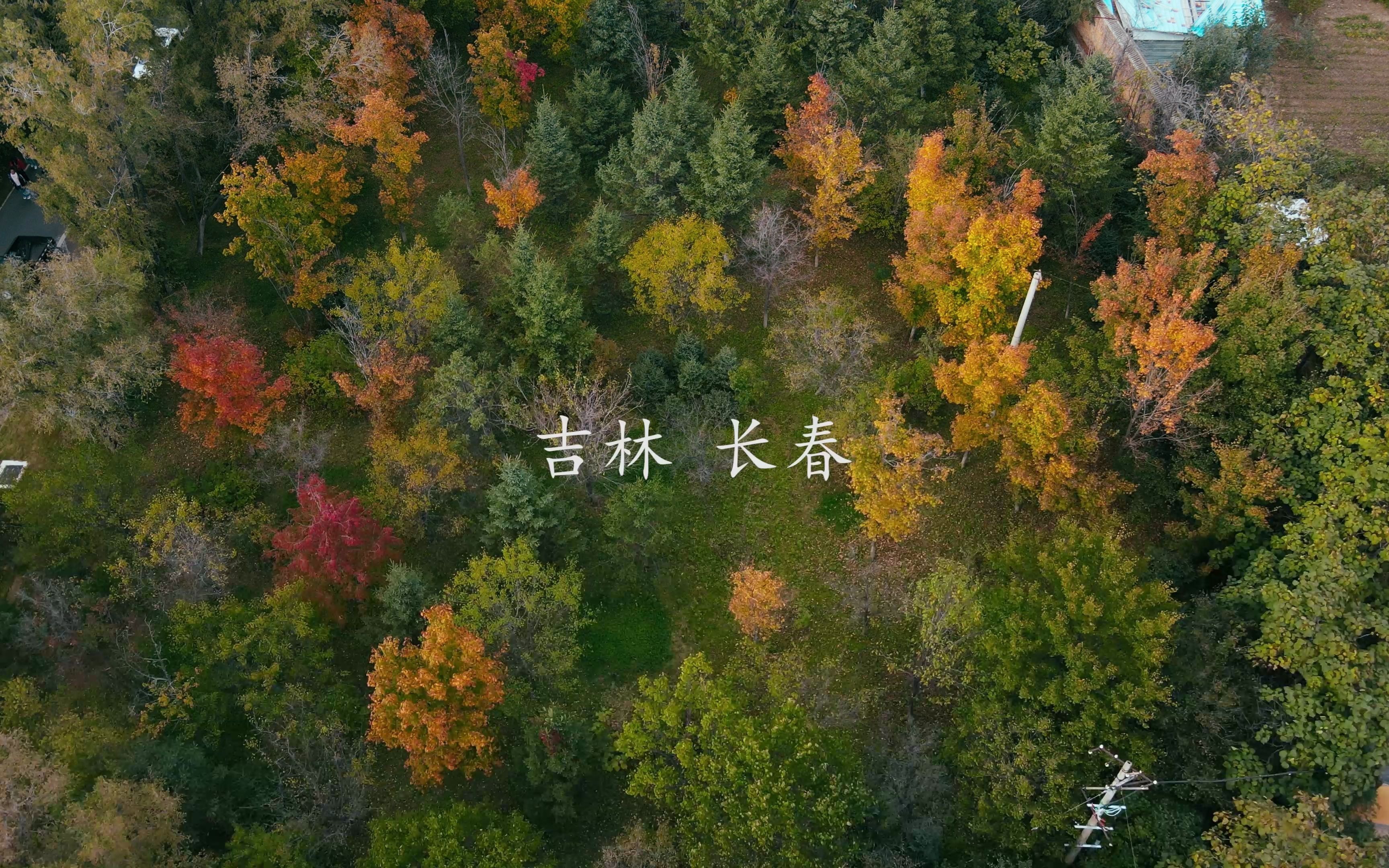 [图]【4K】我和我的家乡，北国的秋天。