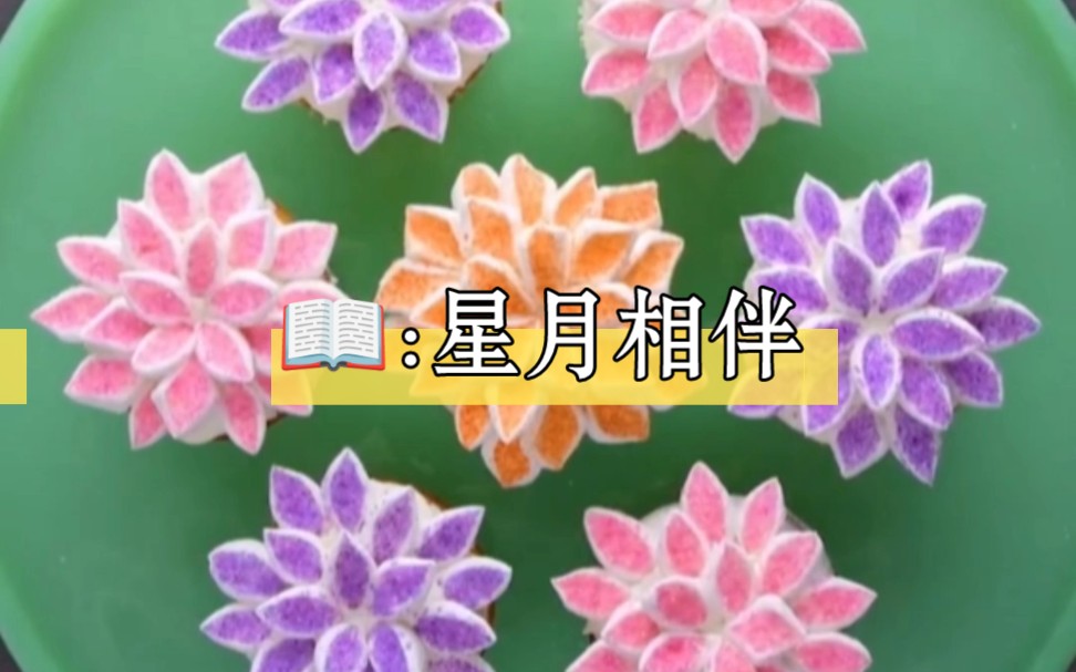 【星月相伴】哔哩哔哩bilibili