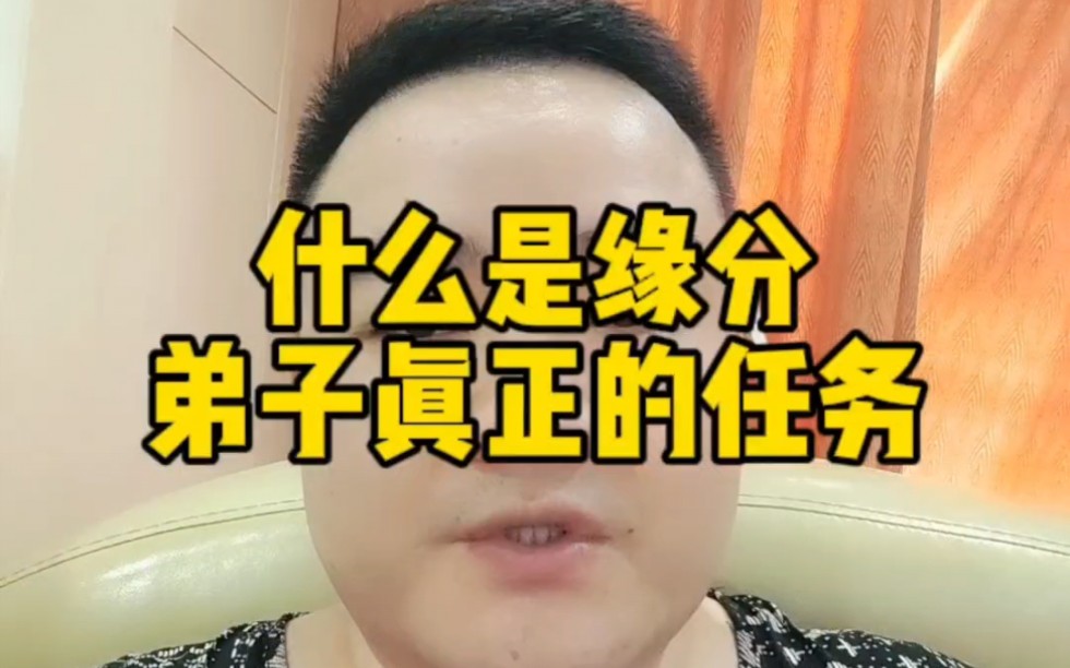 什么是弟马真正的任务哔哩哔哩bilibili