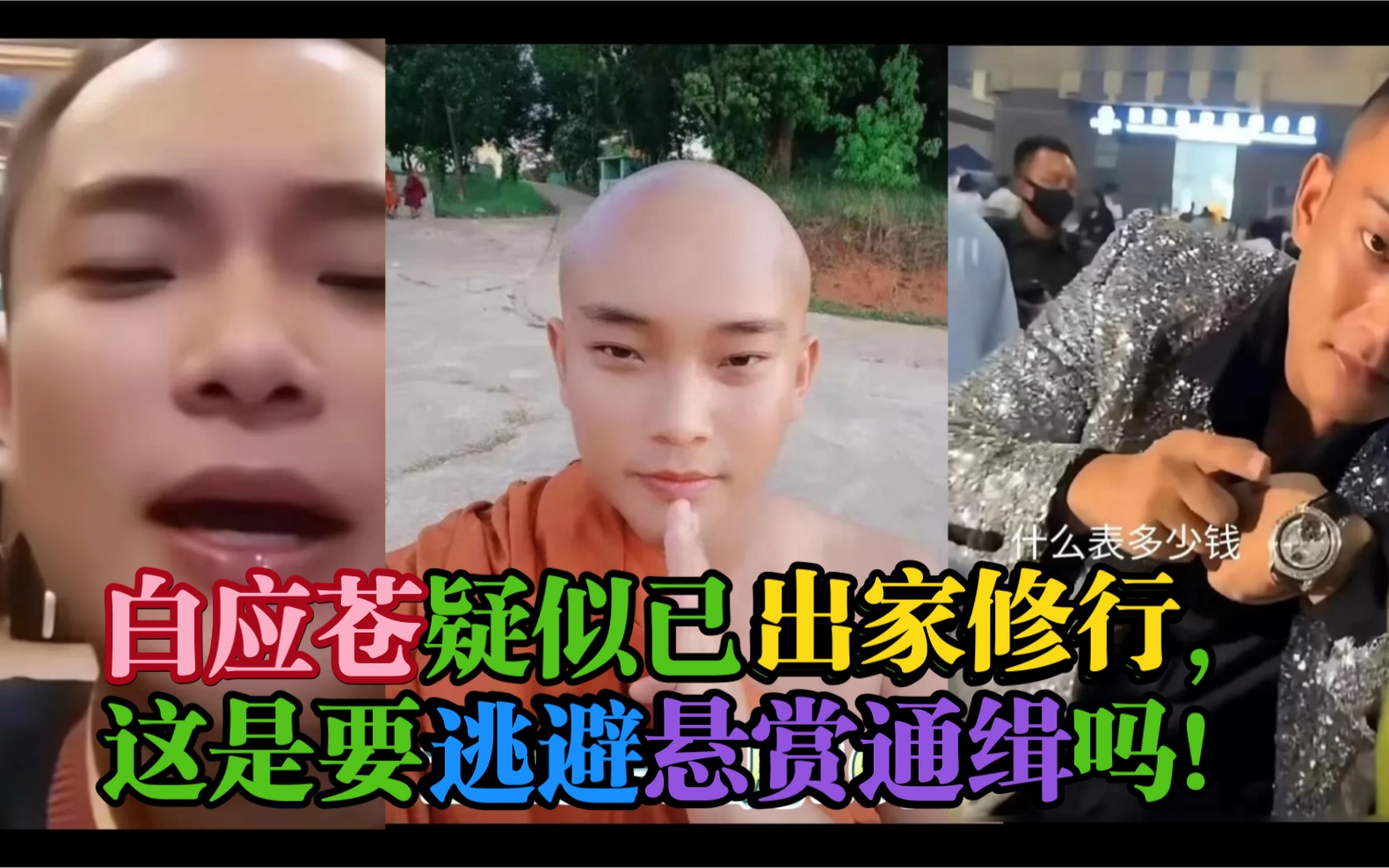 白应苍疑似已出家修行,这是要逃避悬赏通缉吗!哔哩哔哩bilibili