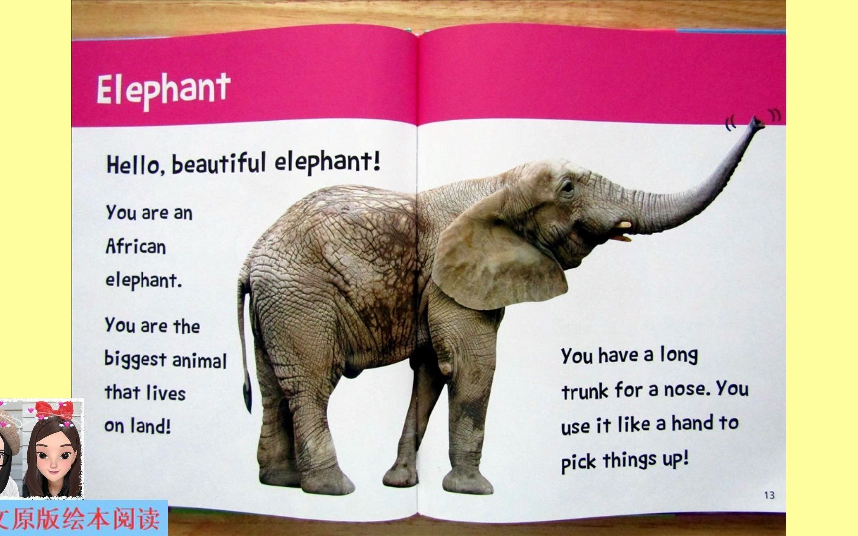 【英文绘本阅读】Hello, Beautiful! Zoo Animals: elephant 《你好,美丽!动物园动物篇》之大象哔哩哔哩bilibili