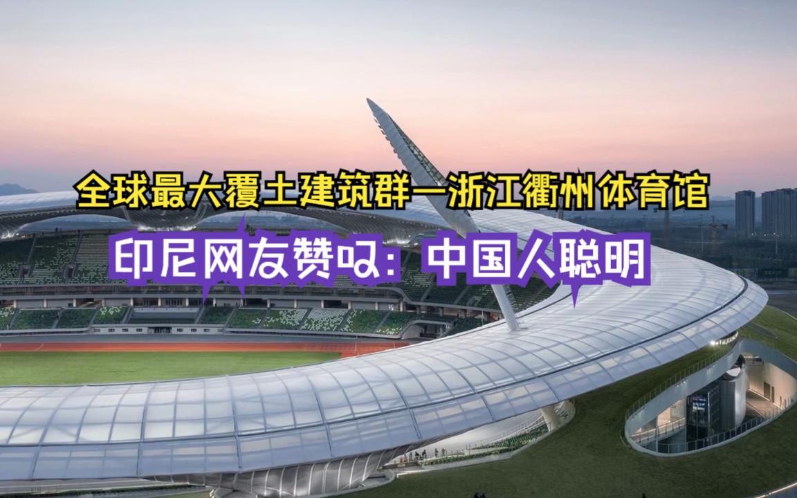 全球最大覆土建筑群—浙江衢州体育馆!印尼网友赞叹:最聪明的种族—中日韩哔哩哔哩bilibili