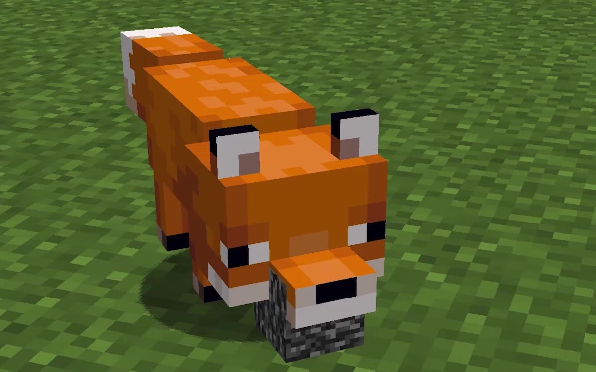 我的世界狐狸如果叼上特殊方块会怎么样会上b站