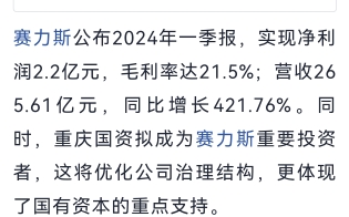 赛力斯2024第一季报实现净利润2.2亿,怪不得股票还涨了哔哩哔哩bilibili