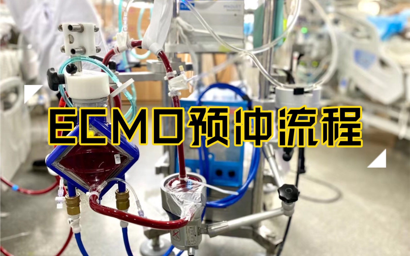 [图]ECMO预充教程（江苏省人民EICU）