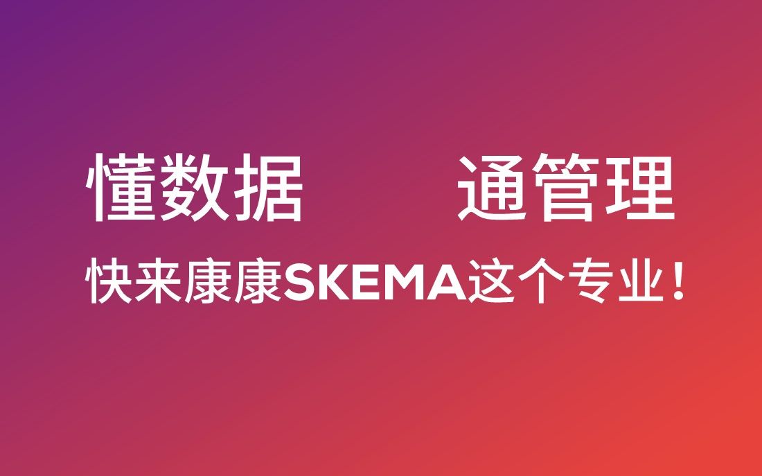 【项目介绍】SKEMA商学院MSc项目 数字商务、数据分析与管理专业哔哩哔哩bilibili