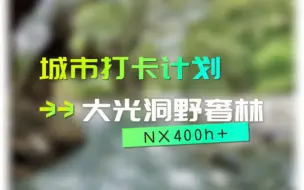 Download Video: NX400h+|大光洞野奢林