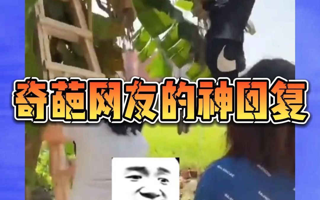 盘点开朗的网友神评论哔哩哔哩bilibili