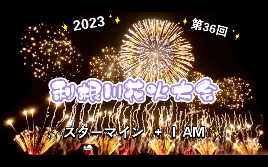 第36回 利根川大花火大会 チケット 2枚 ニコニコエリア あまく