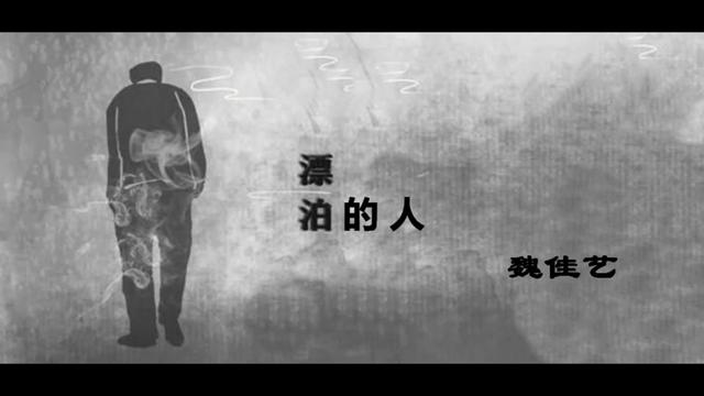 独特的嗓音把这首歌演绎的淋漓尽致 《漂泊的人》 魏佳艺(mv)