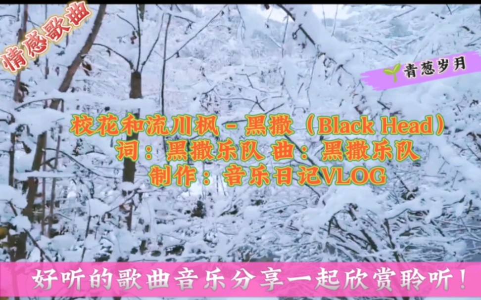 2022网络火爆情歌【校花和流川枫】,值得你单曲循环的珍藏歌曲!哔哩哔哩bilibili