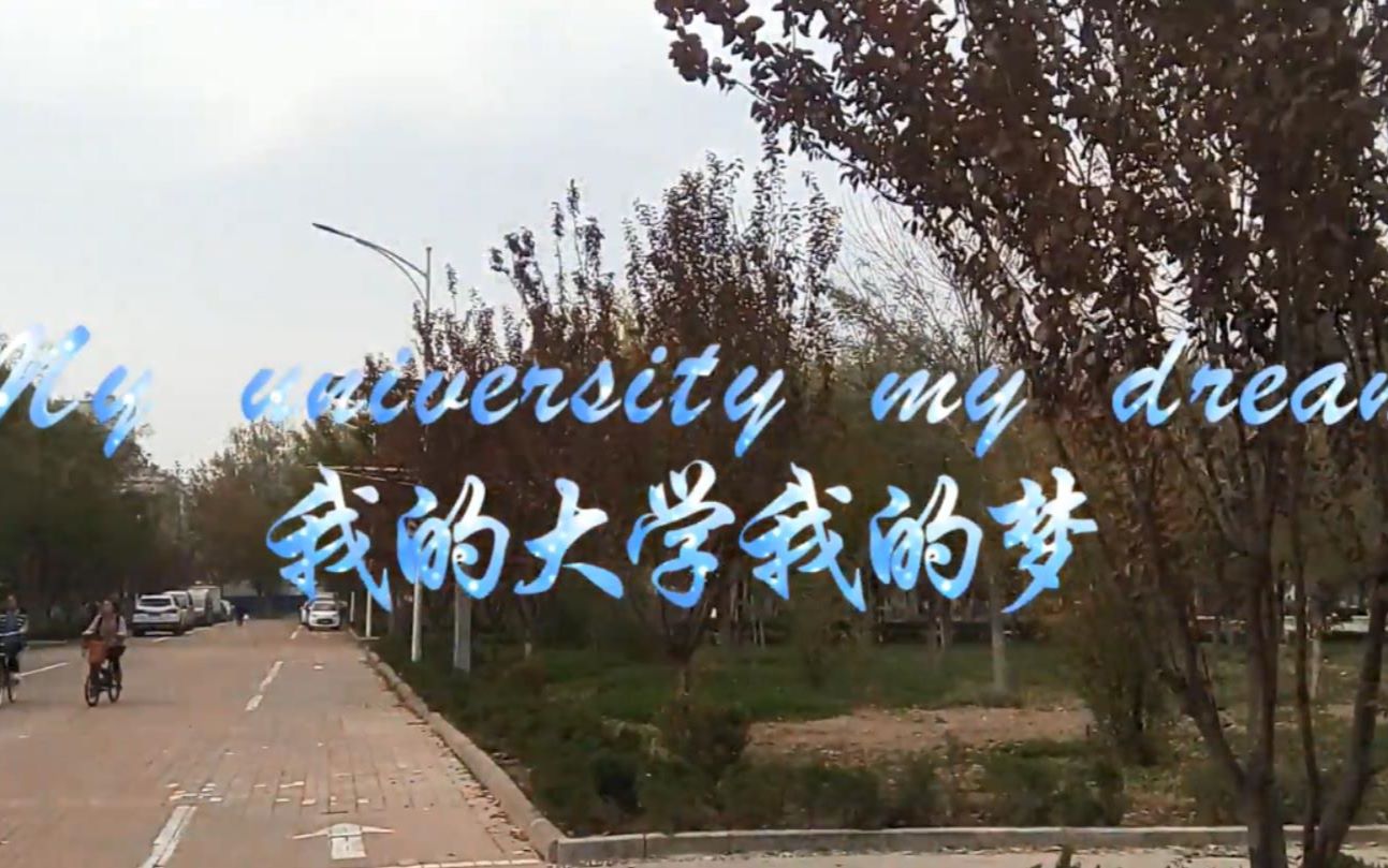 我的大学我的梦哔哩哔哩bilibili