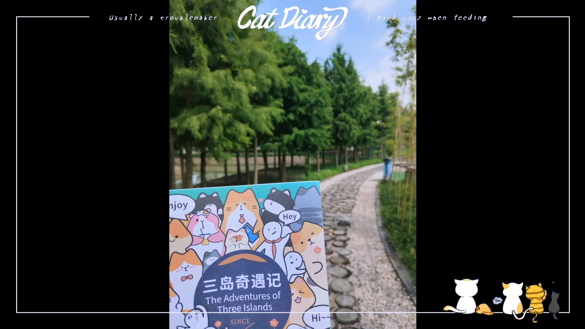 江苏淮安三岛奇遇记,安静的小岛,绿猫好出片,好多小猫咪