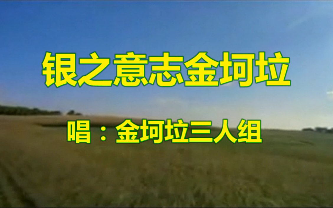 金坷垃银之意志金坷垃