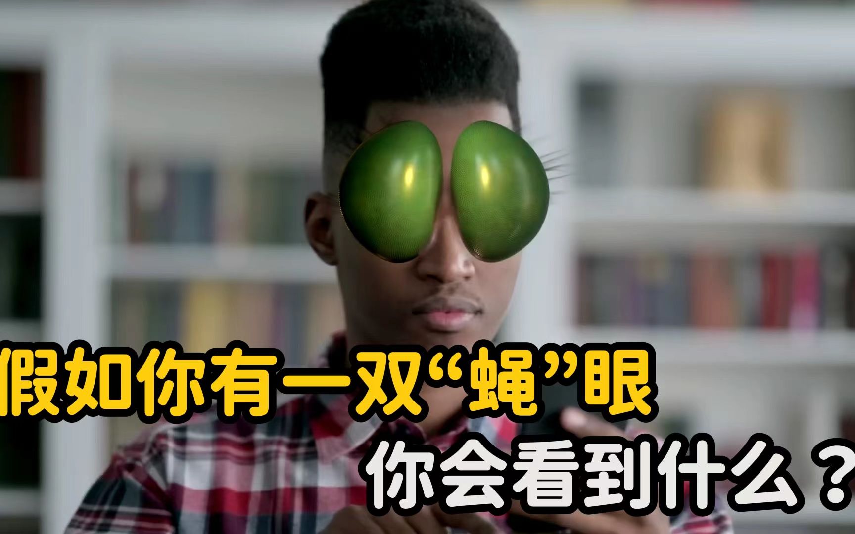 假如你有一双苍蝇的眼睛,你会看到什么样的世界?