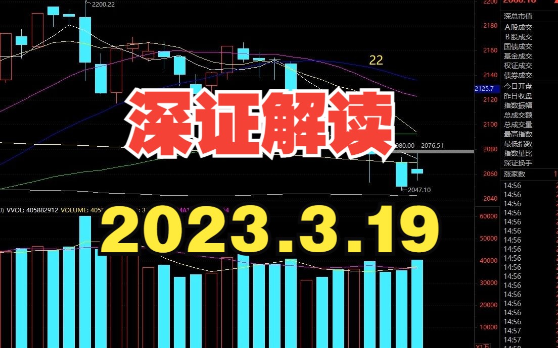 深证解读(2023.3.19)哔哩哔哩bilibili