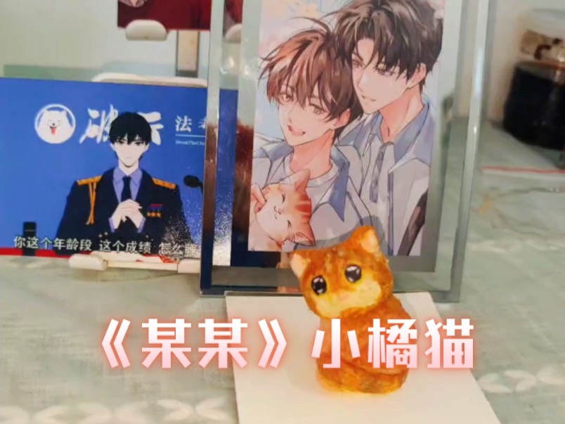 《某某》小橘猫.手残党尽力了!