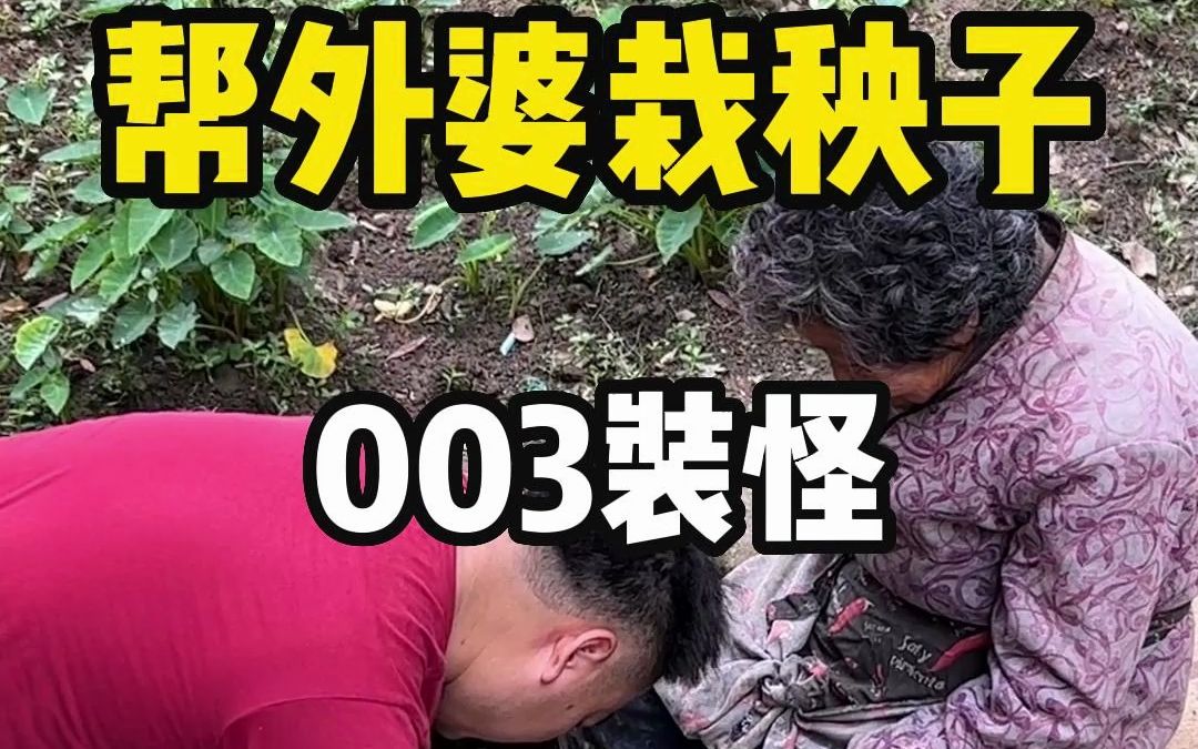 帮外婆栽秧子.003装怪差点把我送走!哔哩哔哩bilibili