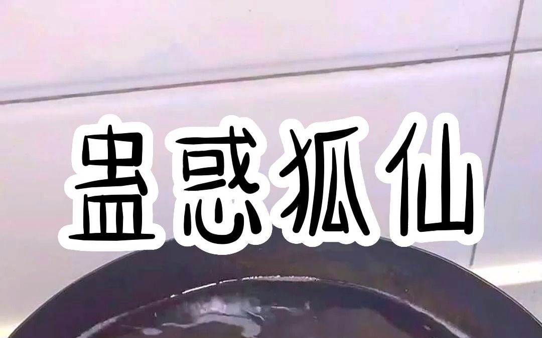 蛊惑狐仙哔哩哔哩bilibili