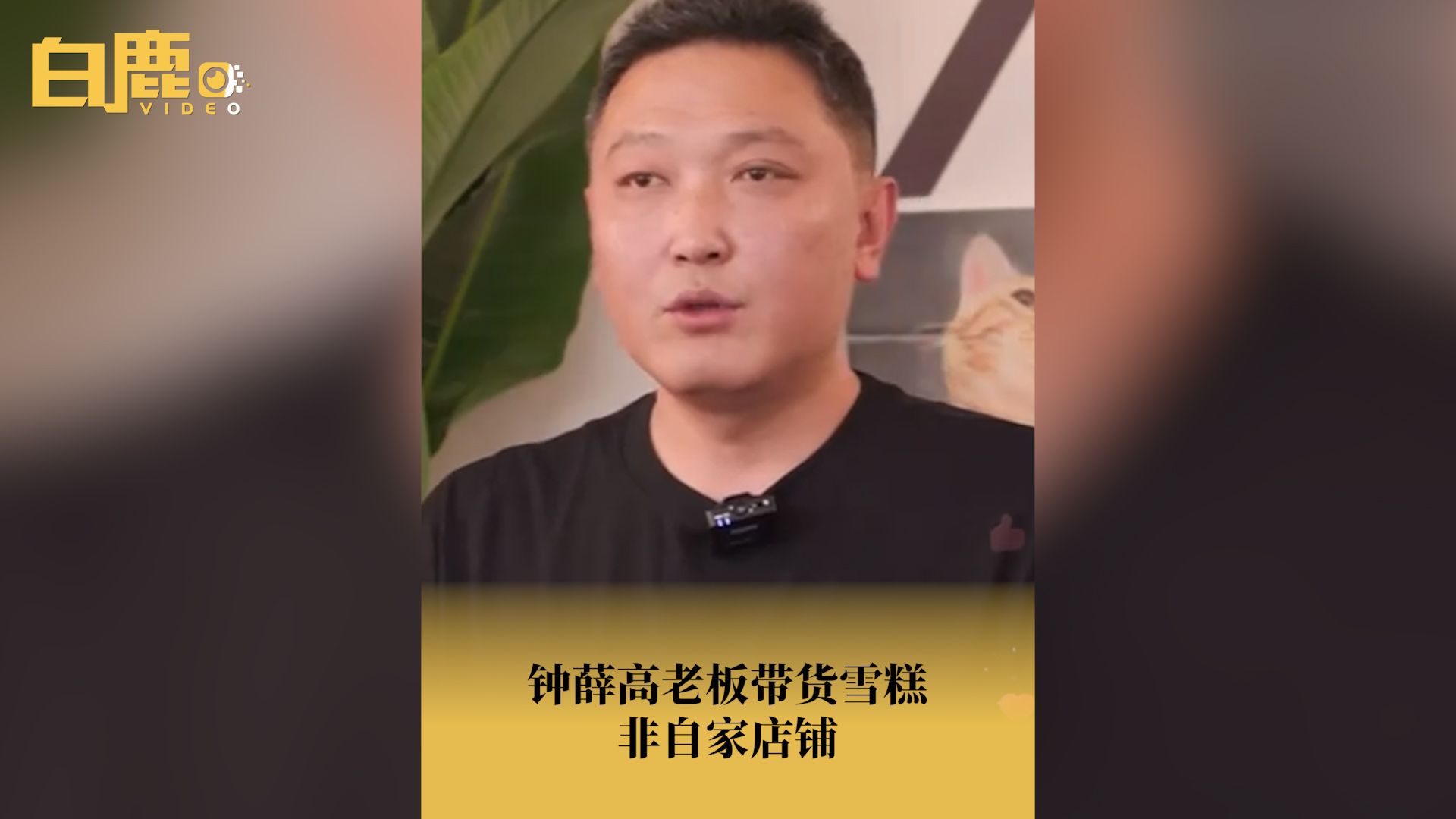 钟薛高老板带货雪糕非自家店铺