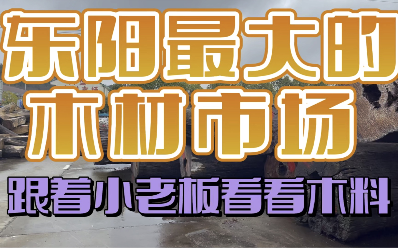 东阳最大的木材交易市场,跟小老板看缅甸花梨,工厂关心的红木