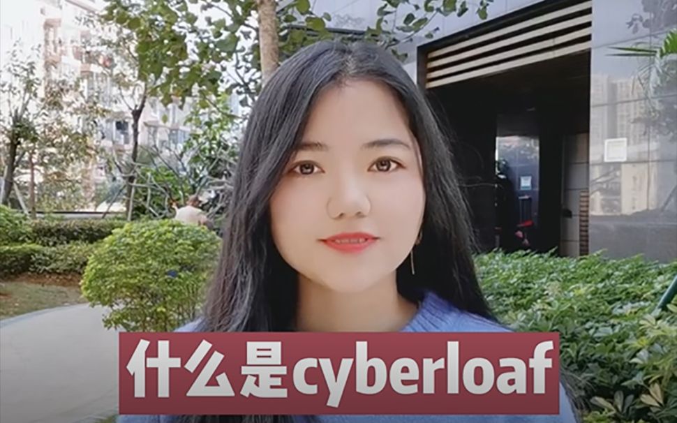 什么是cyberloaf哔哩哔哩bilibili