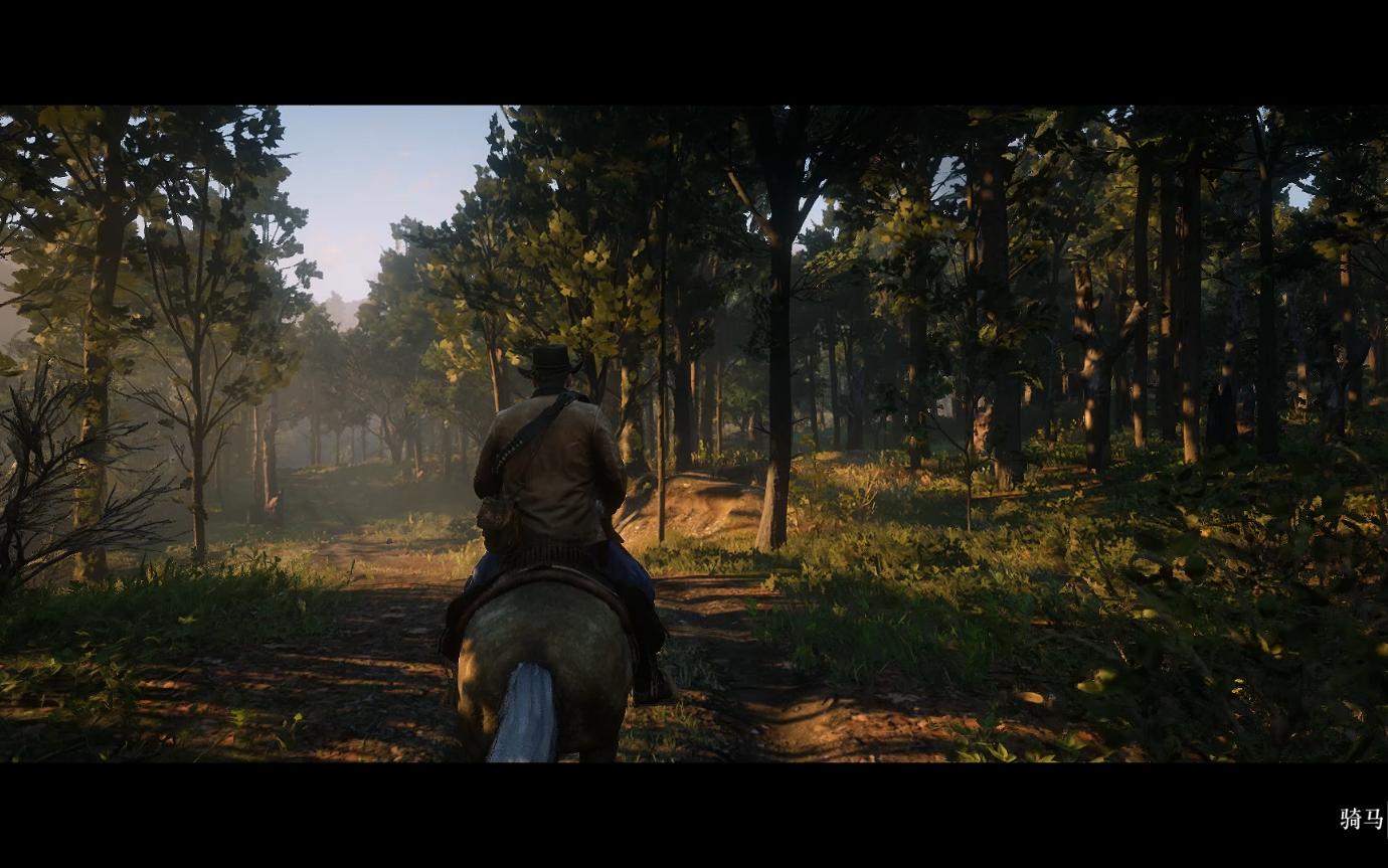 离开这个鬼地方,去做个顶天立地的人(red dead redemption2)