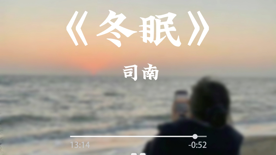 《冬眠》—司南