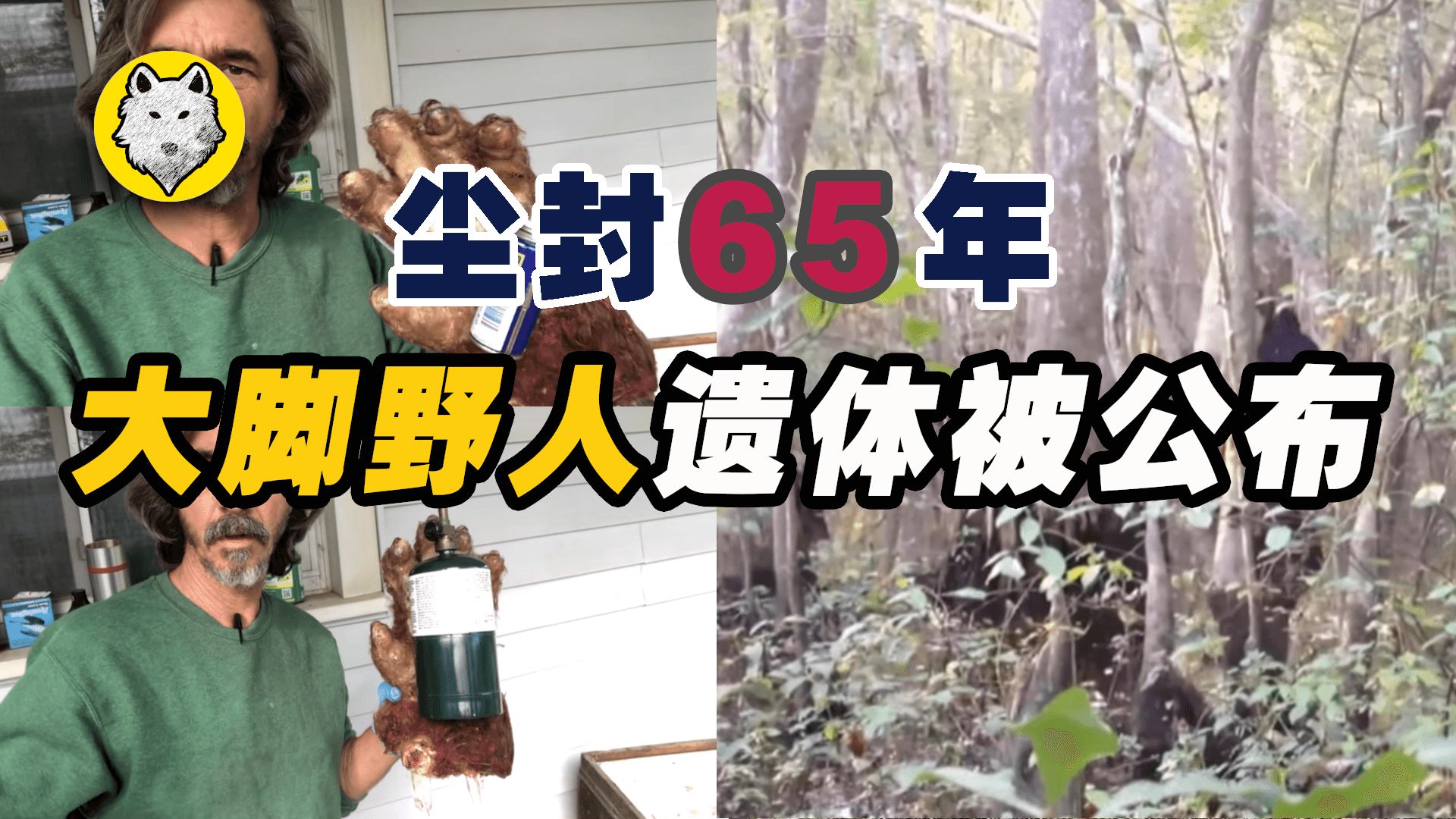 [图]【野人系列】大脚怪是外星生物吗？一具尘封65年的遗体被公布，揭开了关于大脚怪的真相