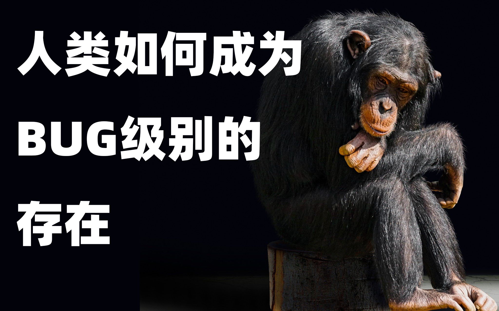  人类文明史1>恐怖直立猿进化史!人类为什么没有发情期?