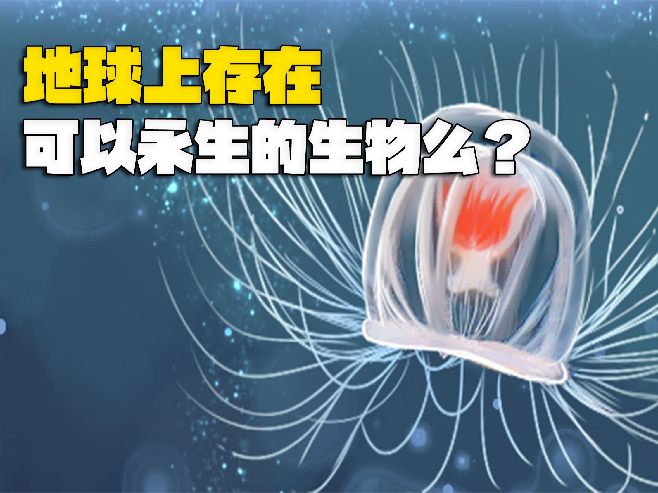 为何宇宙万物都将走向死亡?地球上存在可以永生的生物么?