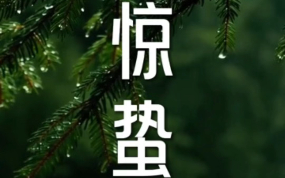 𐟏ž今日惊蛰节气,愿你不负春光,野蛮生长. 𐟍ƒ枯木逢春,不负众望.凯迪服饰祝愿您事业腾飞,惊喜不断,好运连连!#二十四节气 #惊蛰 #春暖花开...