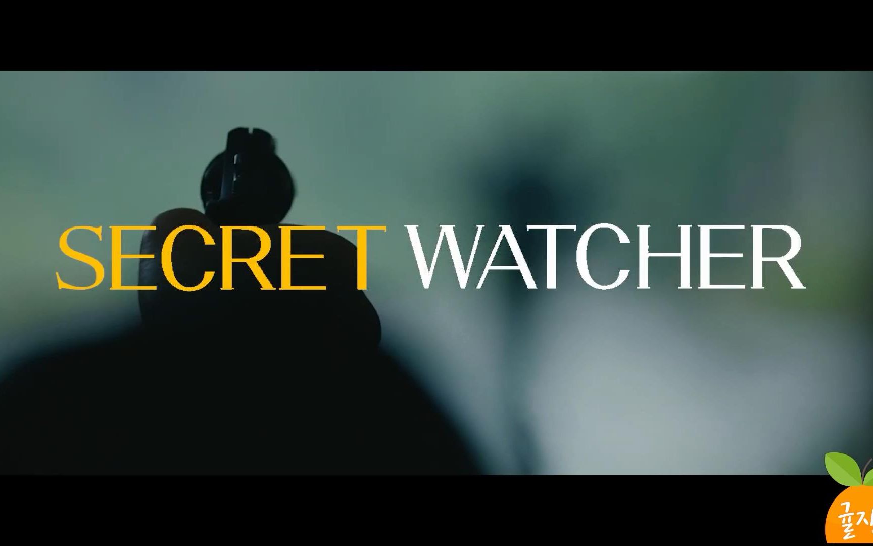 自制中字【SecretWatcher】金贤珠韩石圭金惠秀金南珠曹承佑裴斗娜尹世雅混剪哔哩哔哩bilibili