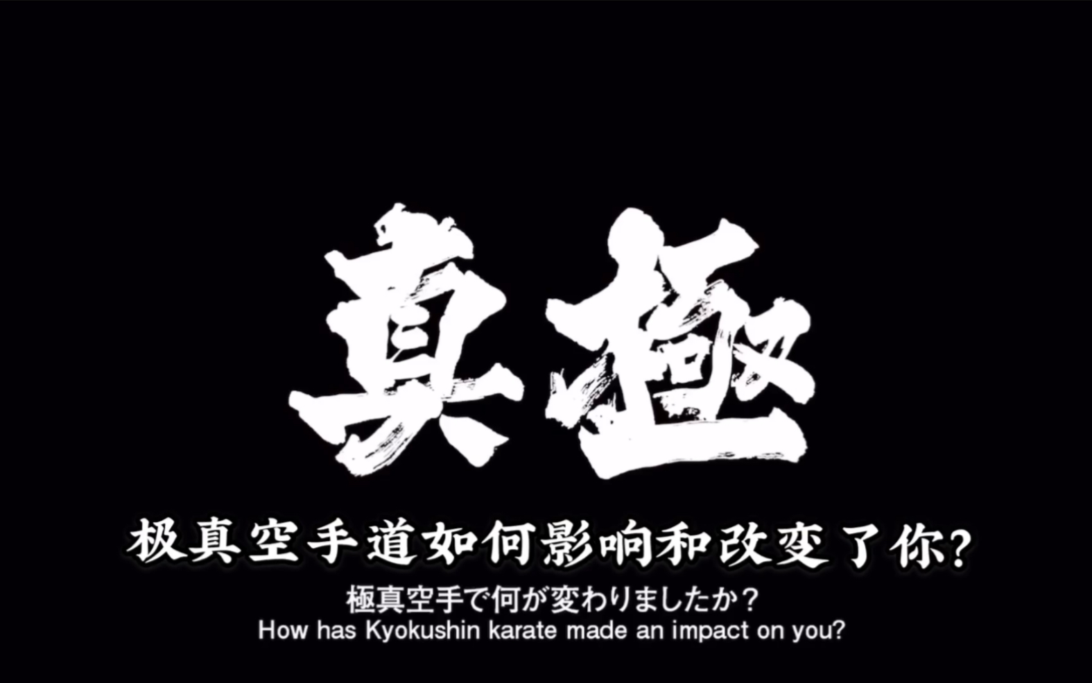 总部风采极真空手道如何影响和改变了你中文字幕日本总本部道场宣传pv