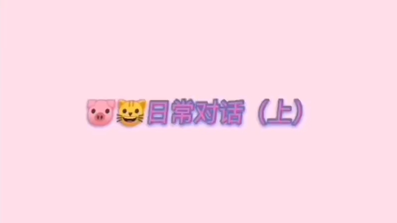 韩国see猪哥小猫
